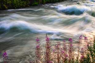Deschutes River-1390 Deschutes River-1390